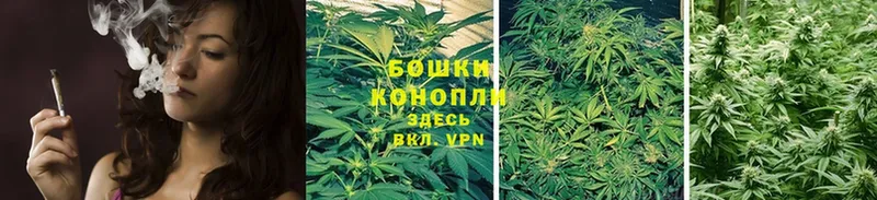 Конопля OG Kush  хочу наркоту  Яхрома 